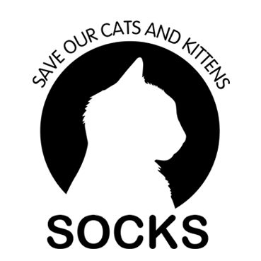 Socks: Your Best Friend for Life