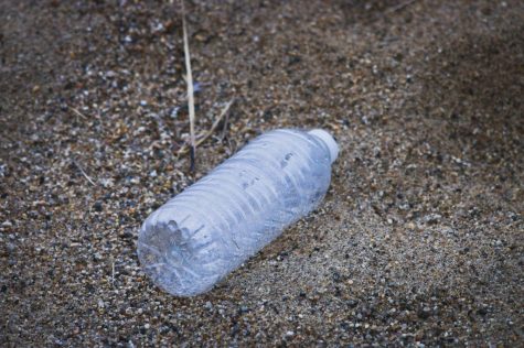 Plastic Pollution Robs Us of Our Wildlife: So Let's Change – HAY