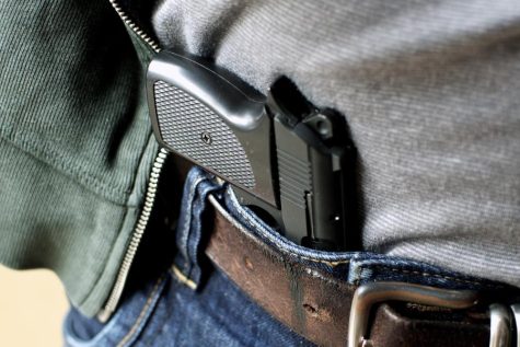 Armed and Untrained: Florida Senate passes bill allowing concealed carry without permit