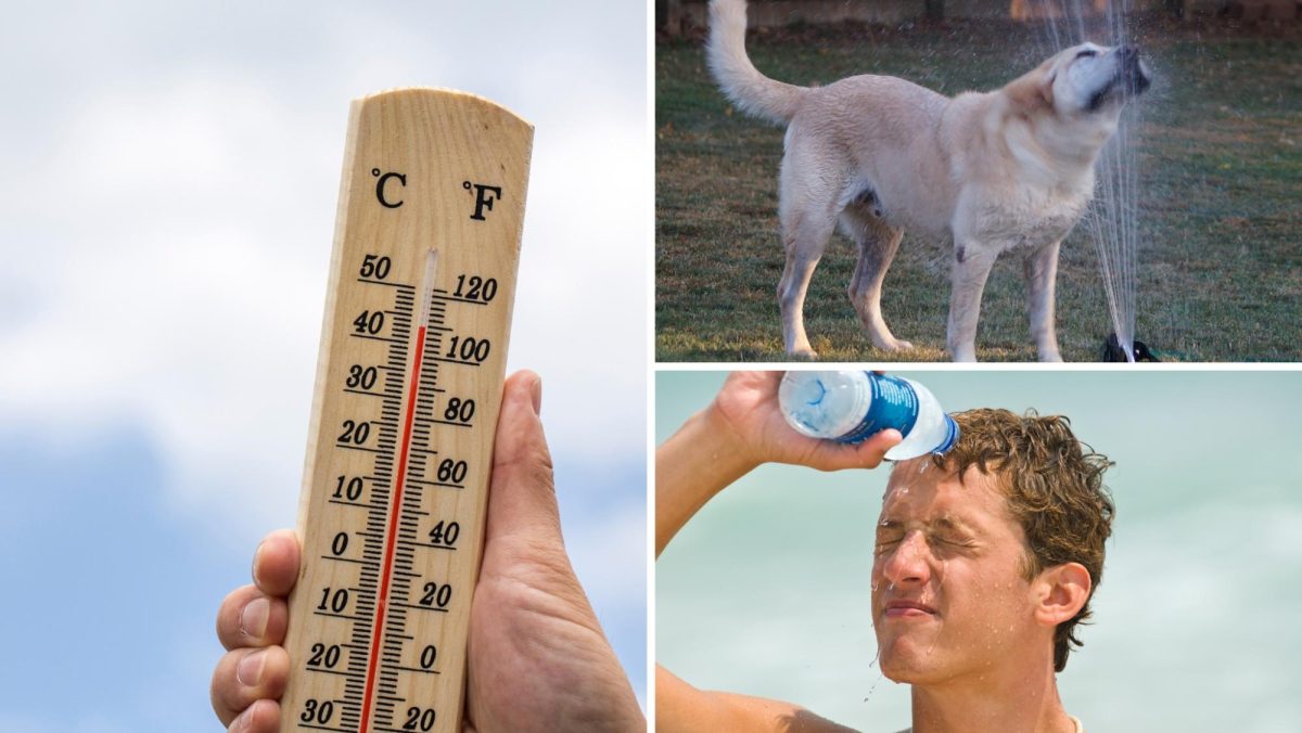 Stay cool and in school: tips for beating the sweltering Florida heat
