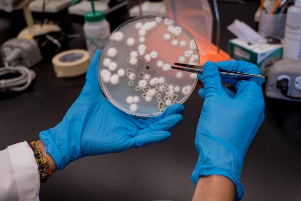Flesh-Eating Bacteria: A Hidden Danger in Pensacola Beach Waters